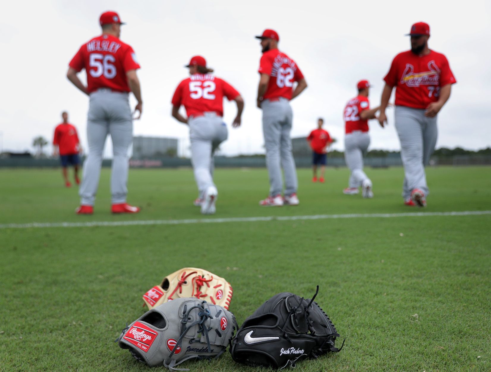Cardinals spring training
